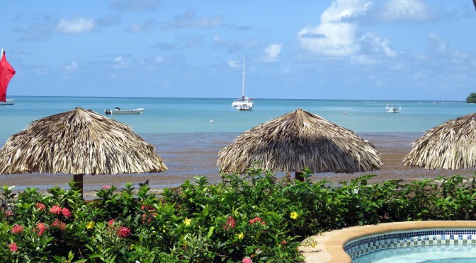 Sandals Negril Resort
