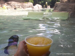 Discovery Cove Serenity Bay