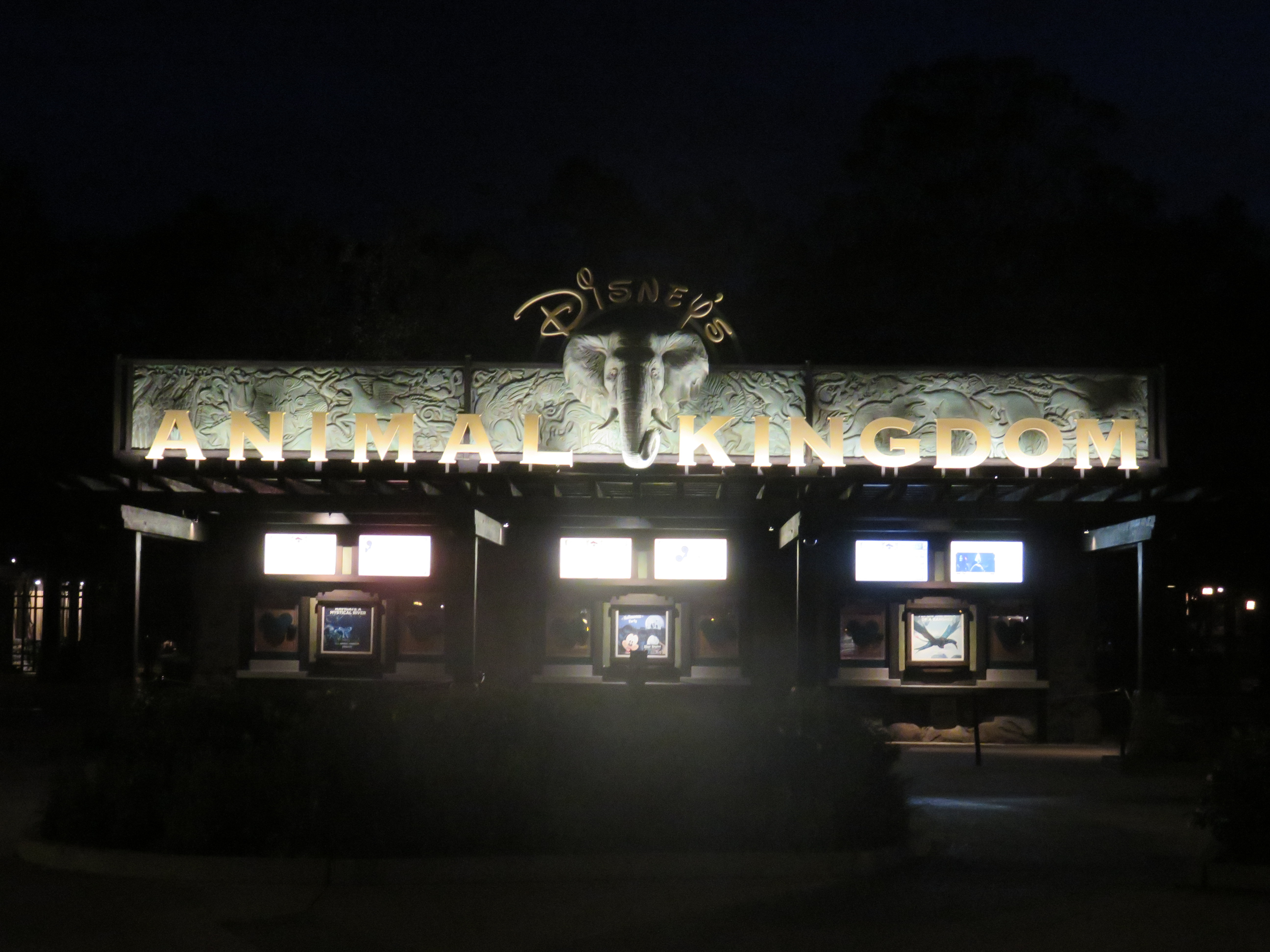 Animal Kingdom