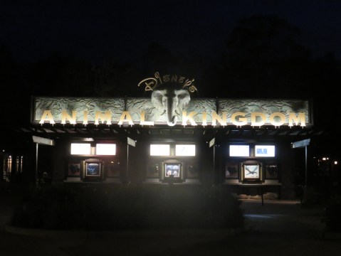 Animal Kingdom