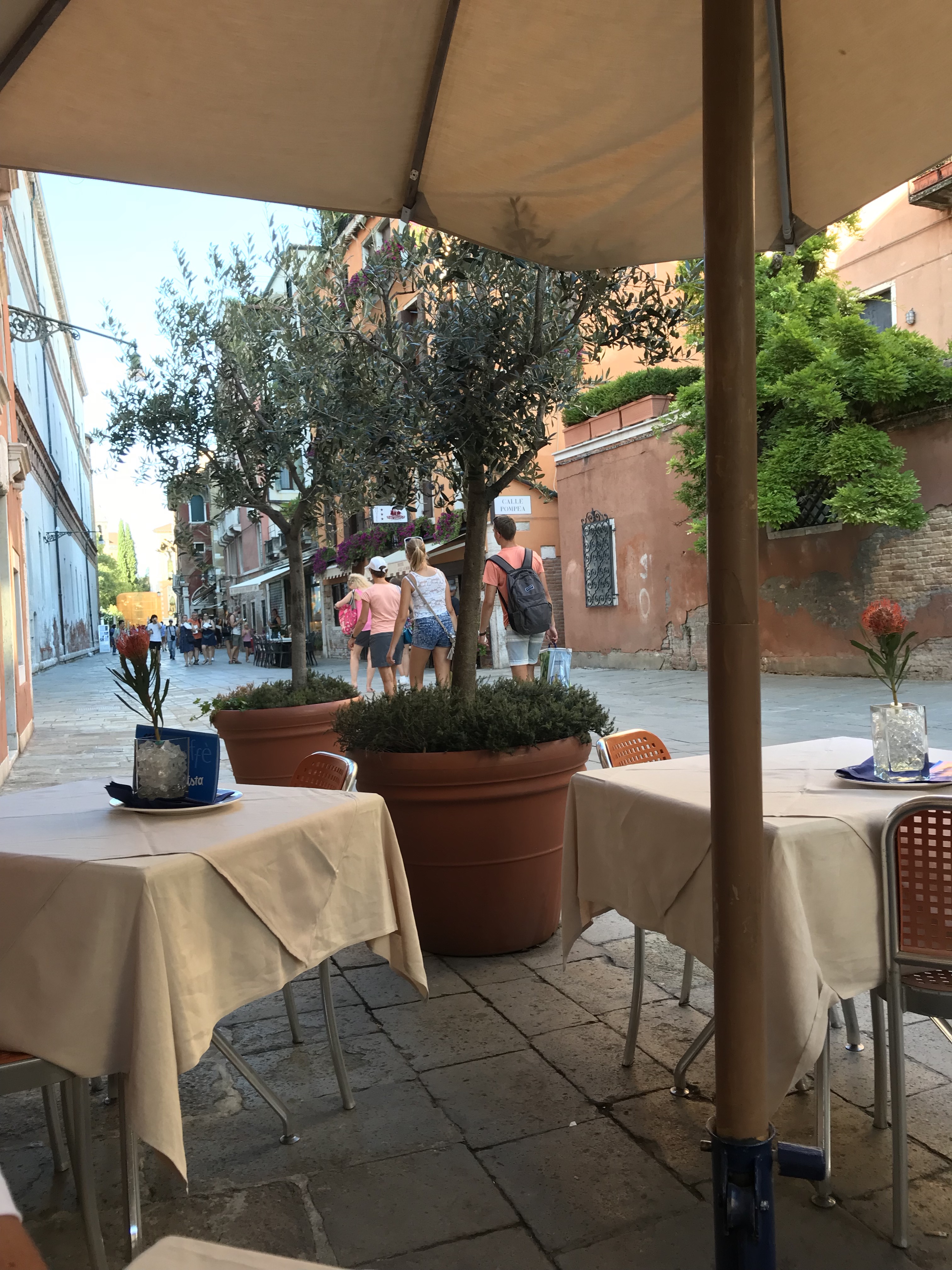 3G9NlYO1Qr+MCPtAsPSqAw