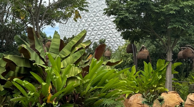 Discovering&nbsp;Journey of Water — Inspired by Moana&nbsp;at EPCOT